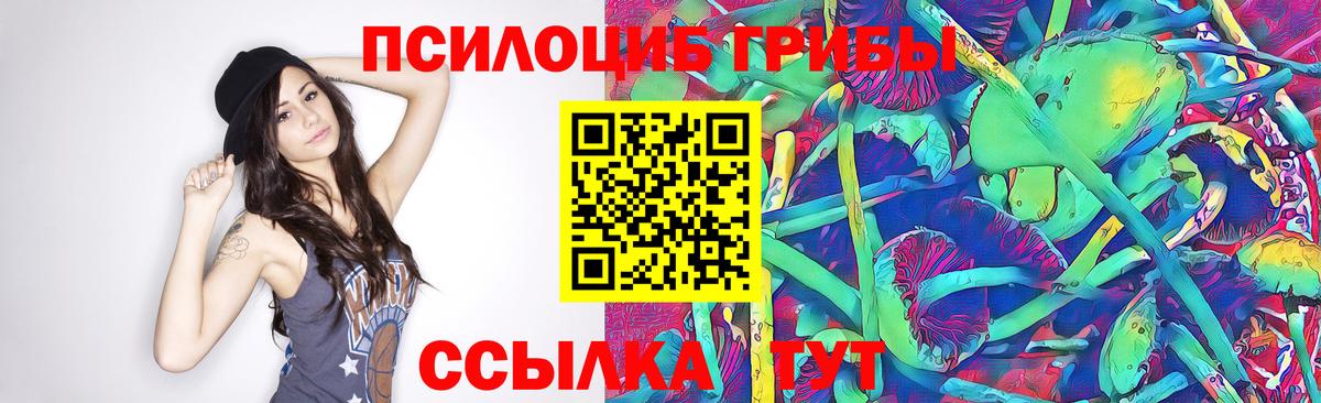 Галлюциногенные грибы прущие грибы Прокопьевск